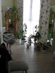 Квартира, 2-комнатная, 58 кв.м. Уфа